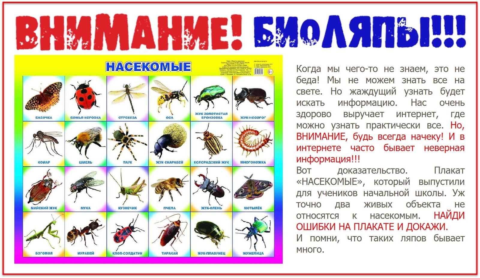 Три названия насекомых. Плакат. Насекомые. Насекомые плакат для детей. Насекомые для дошкольников. Насекомые с названиями для детей.