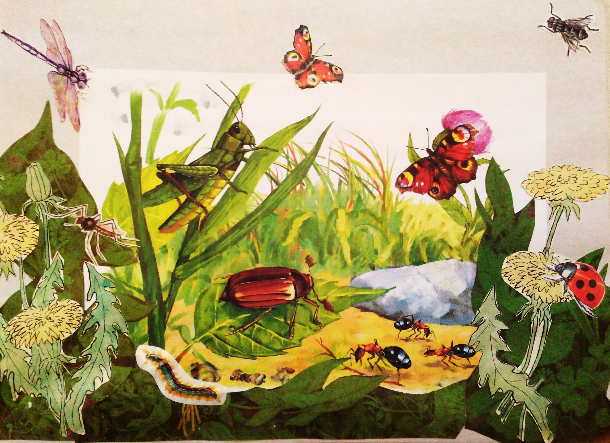 Картина Артюшенко насекомые и пауки