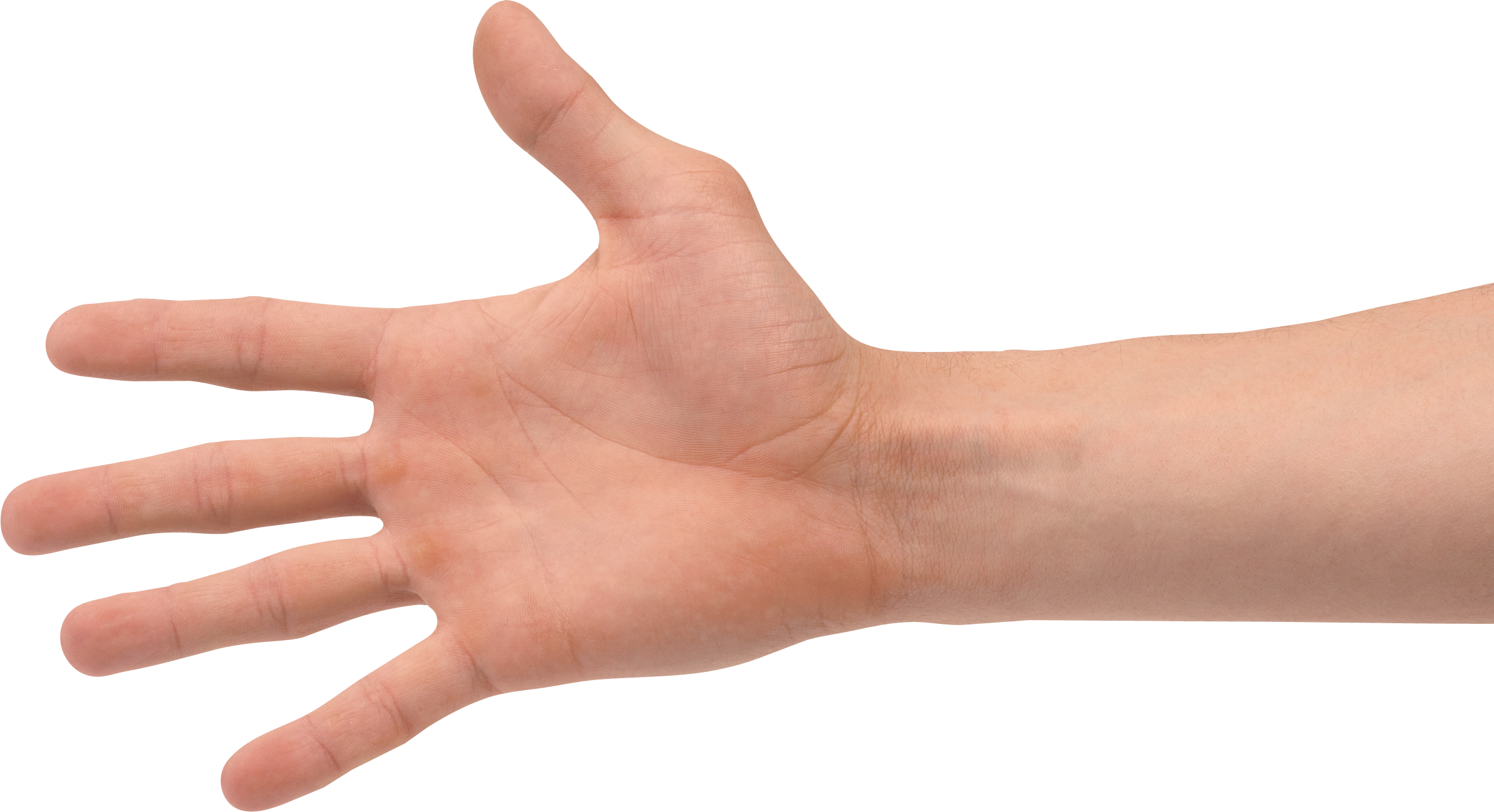 Рука. Человеческая рука. Рука человека. Ладонь человека. Правая кисть