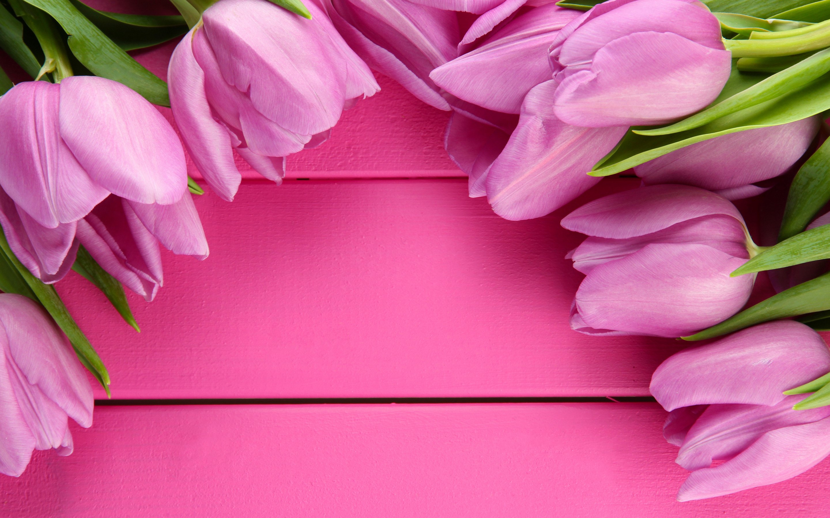 Открытка маме на день матери. Тюльпаны открытка. Розовые тюльпаны. Открытка цветы. День матери.