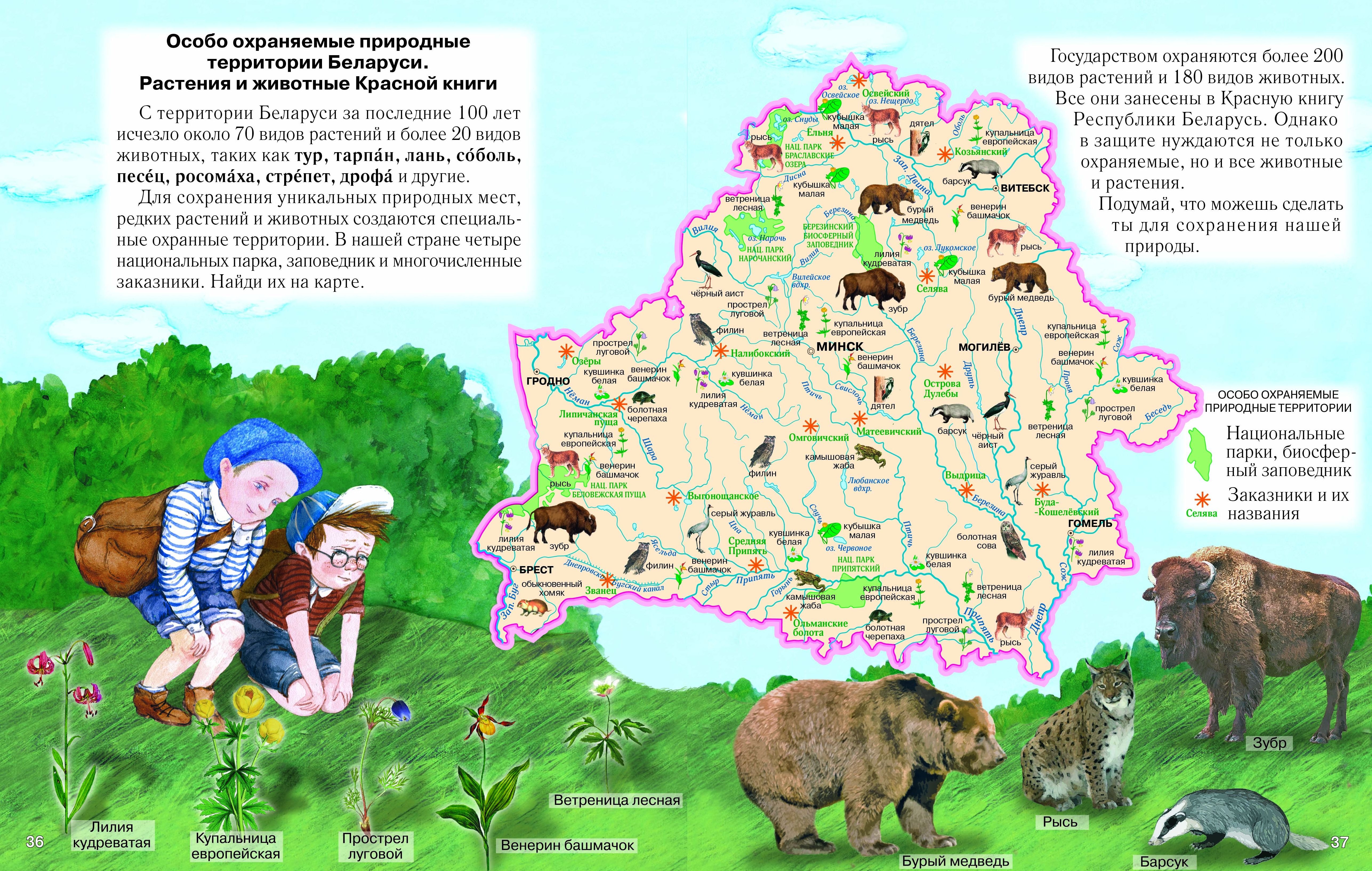 Карта белоруссии для детей