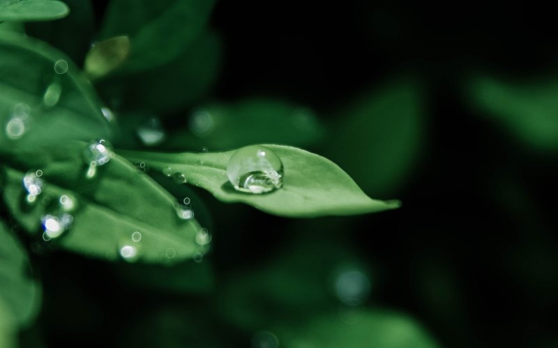 Обои капли воды