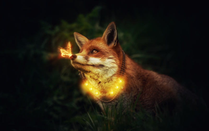 Лисенок в гирлянде