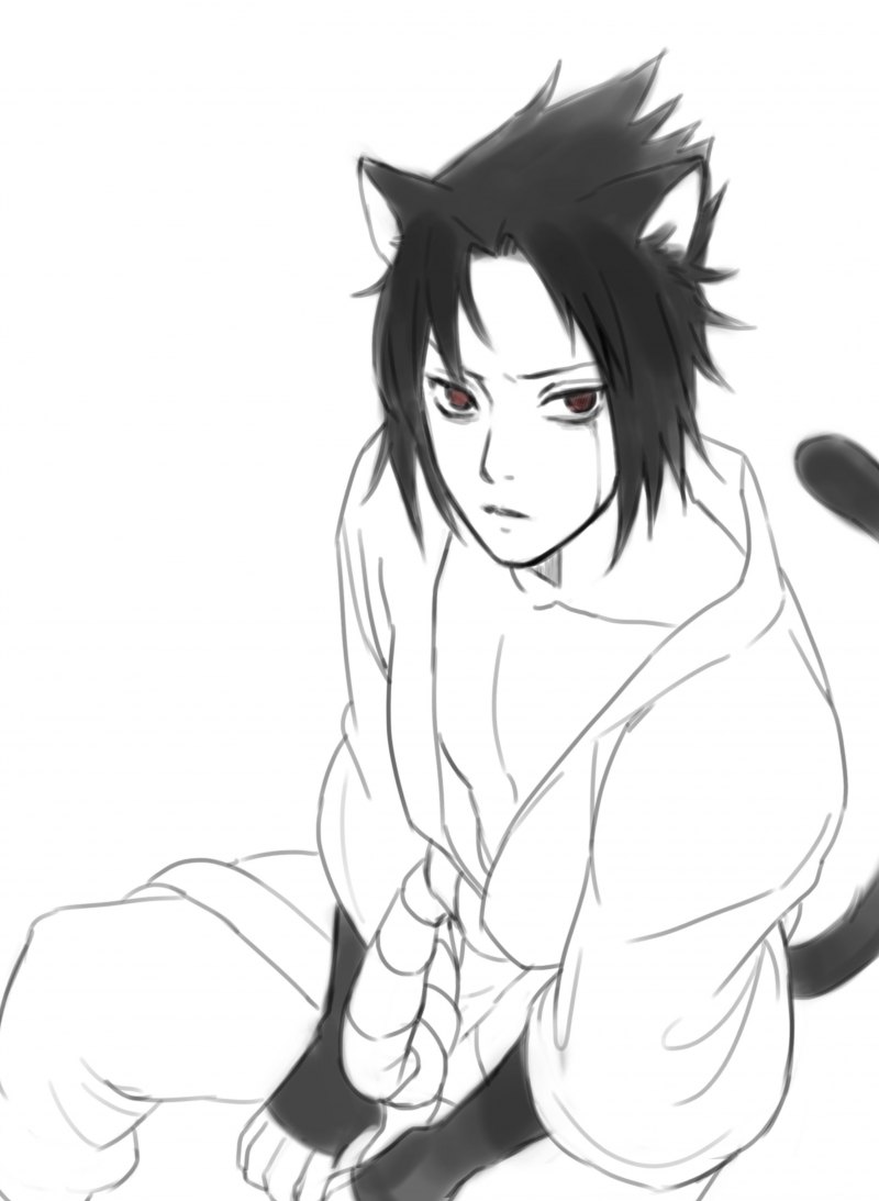 Саске Учиха и его питомец