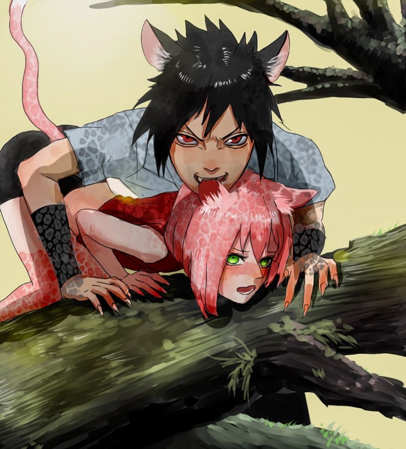 Сакура Учиха неко