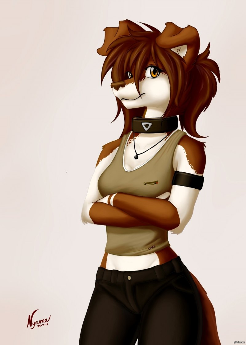 Фурри собаки немецкая овчарка