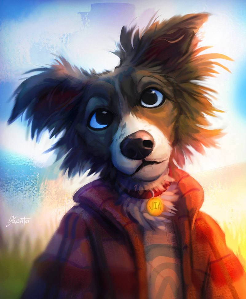 Фурри собака