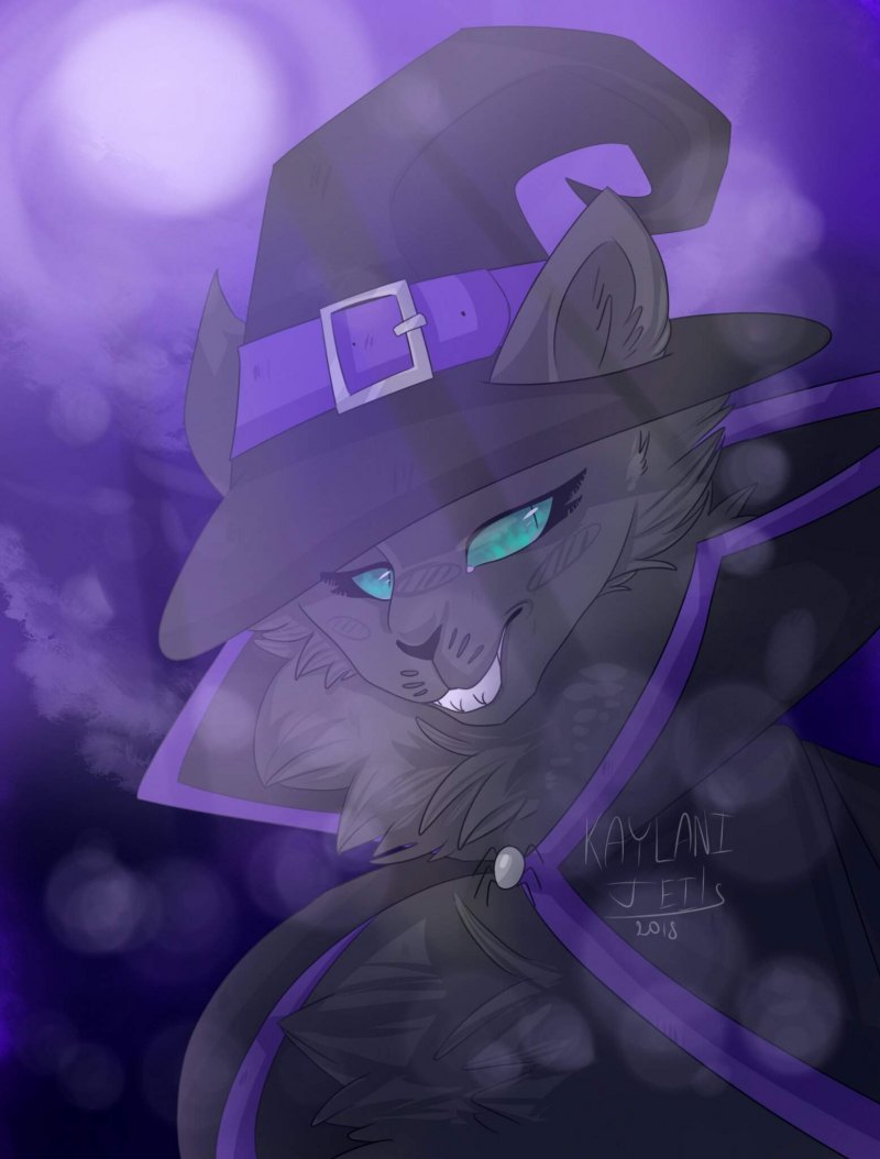 Блокмен го богатый скин