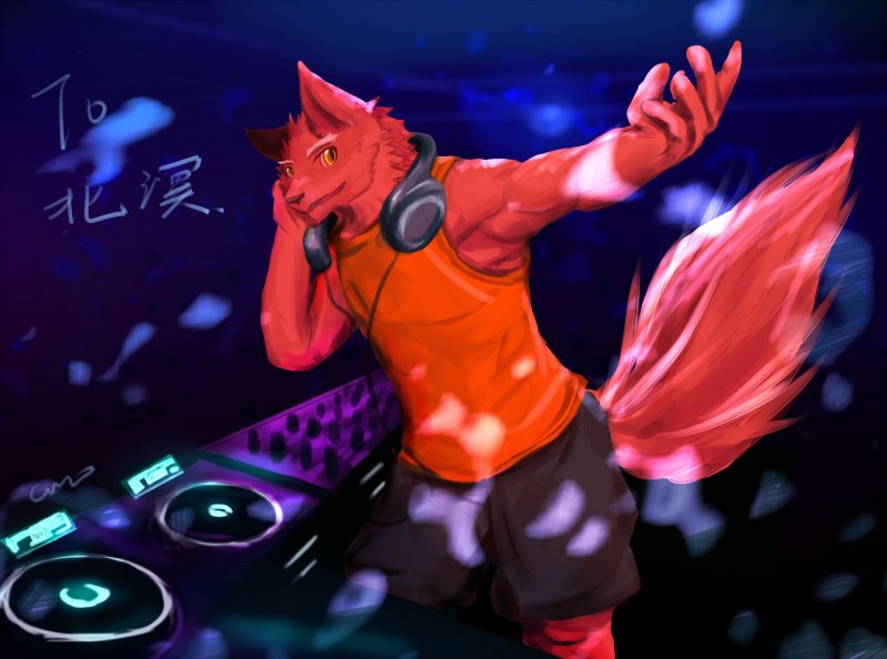 Фурри диджей