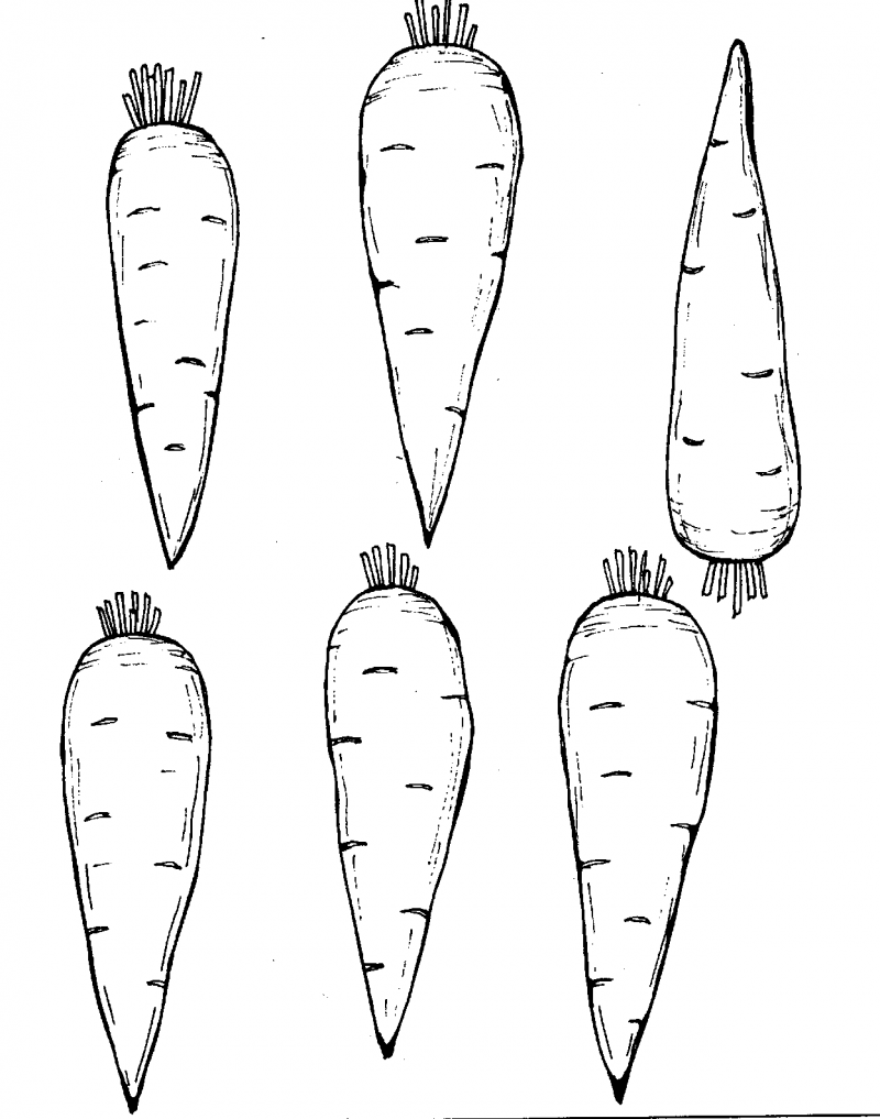 Трафарет морковки. Морковь раскраска для детей. Морковь раскраска для малышей. Морковь картинка для детей раскраска. Морковка раскраска для детей.