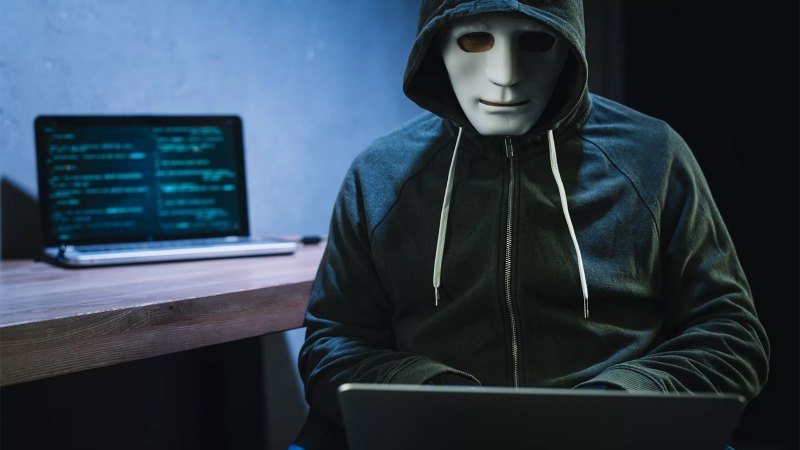 Киберпанк коты