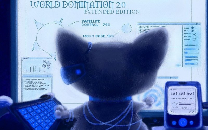 Аниме хакер кот