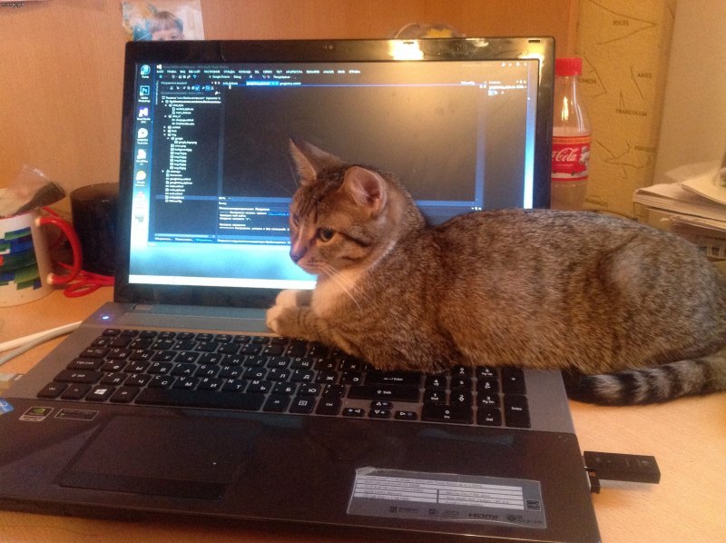 Психоделические аватарки