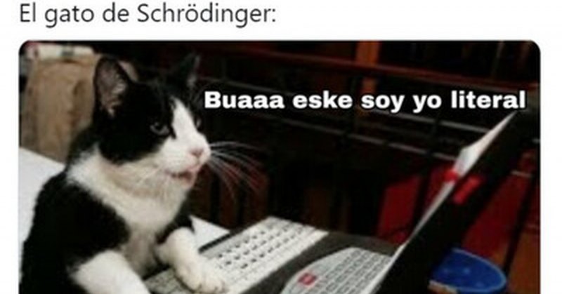 Кот хакер для аватарки