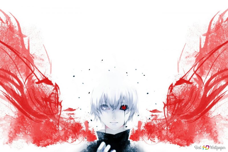 Картинки Канеки Кена и розы