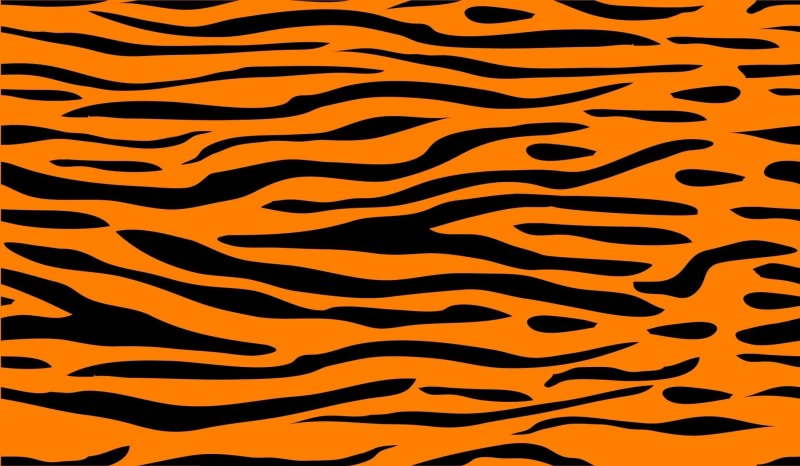 Тигровый принт