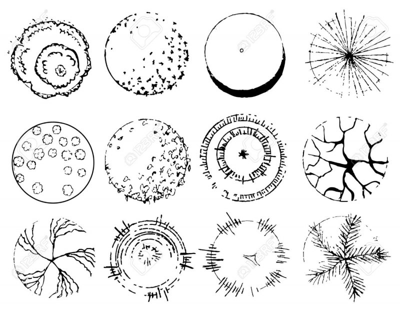 Дерево вид сверху чертеж