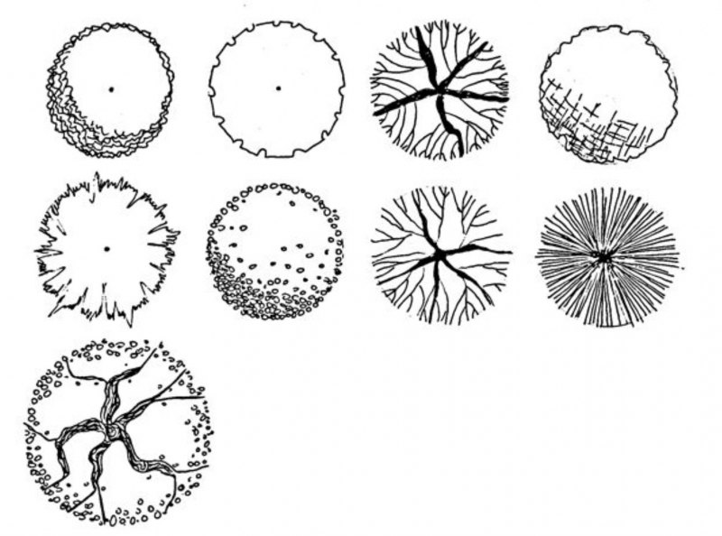 Деревья обозначение на плане