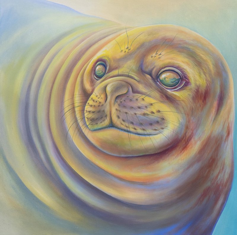 Морской котик акварель