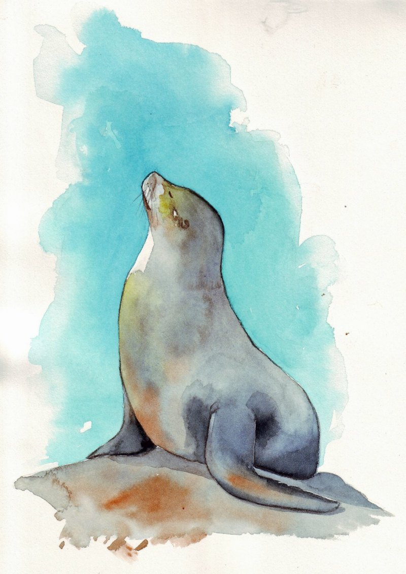 Милая Нерпа арт