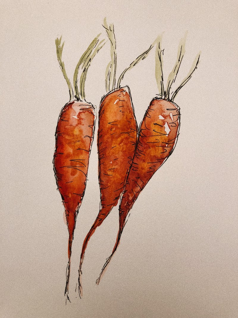 Морковь арт