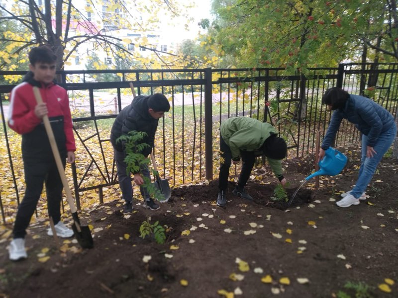 Проект субботник в школе