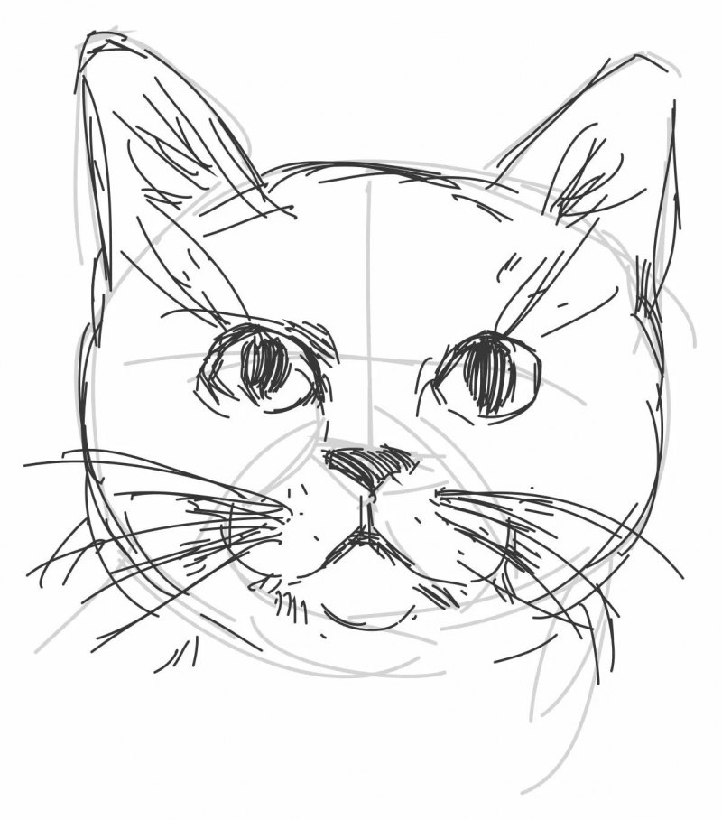 Котенок карандашом