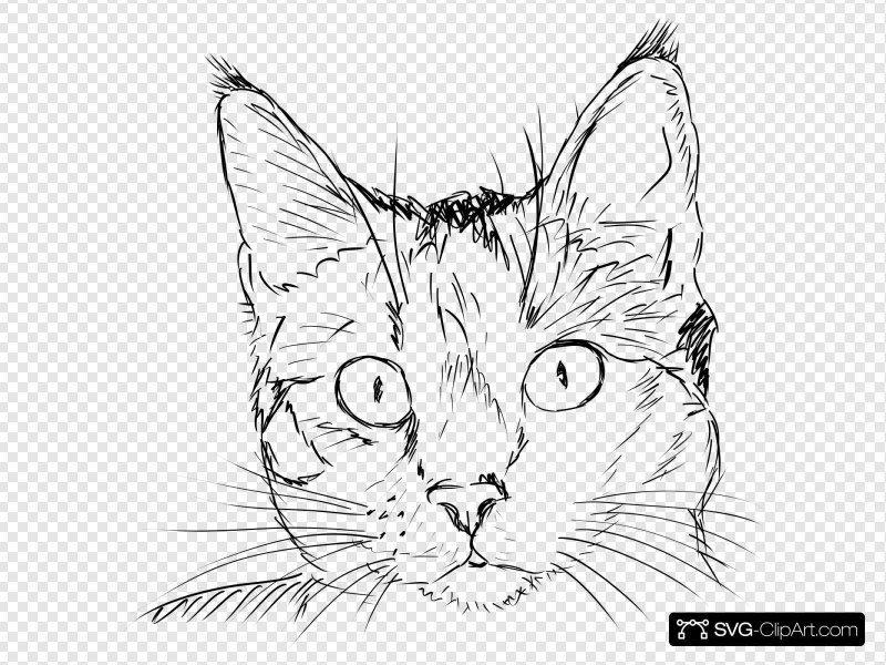 Нарисовать морду кота