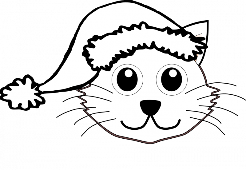 Мордочка котенка раскраска
