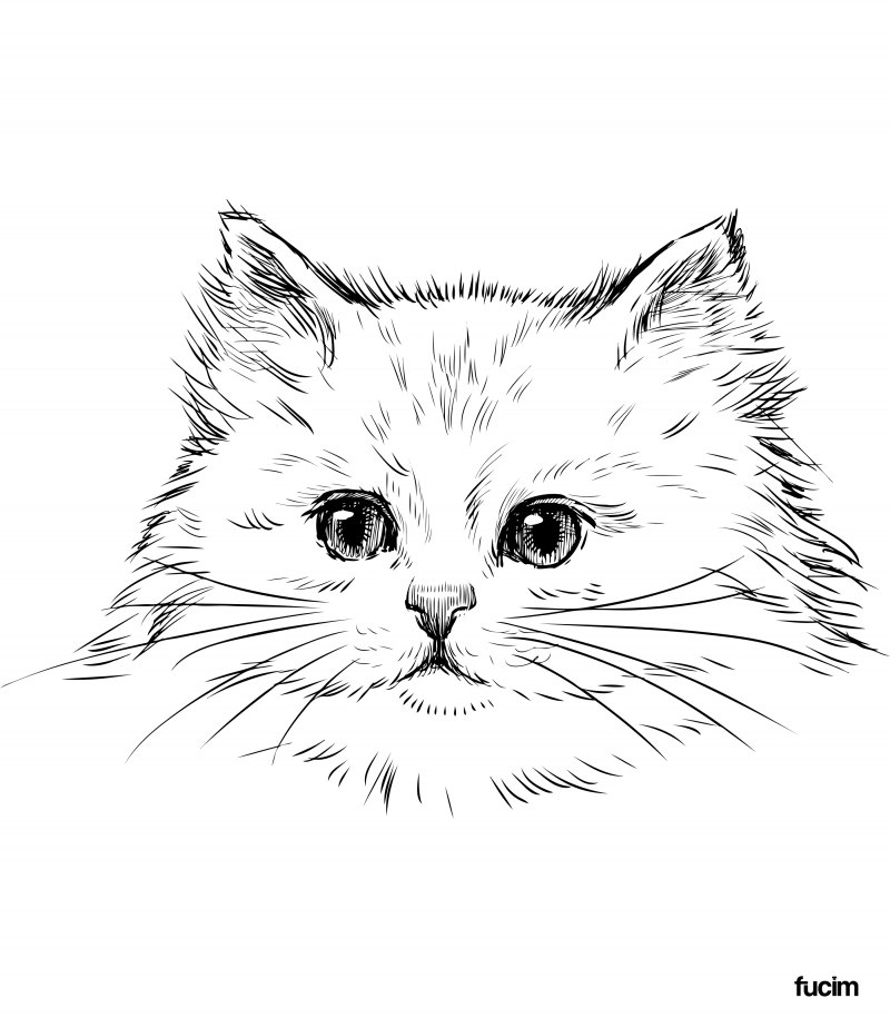 Котик эскиз