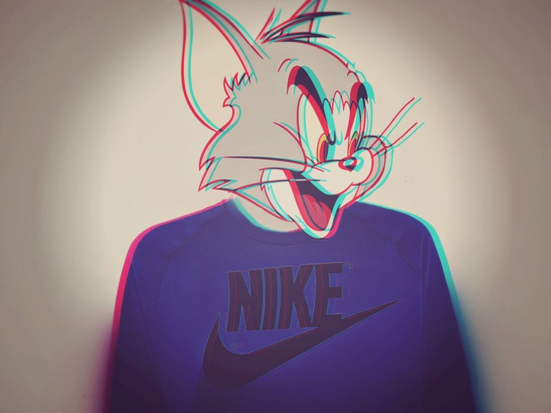 Кот в найке