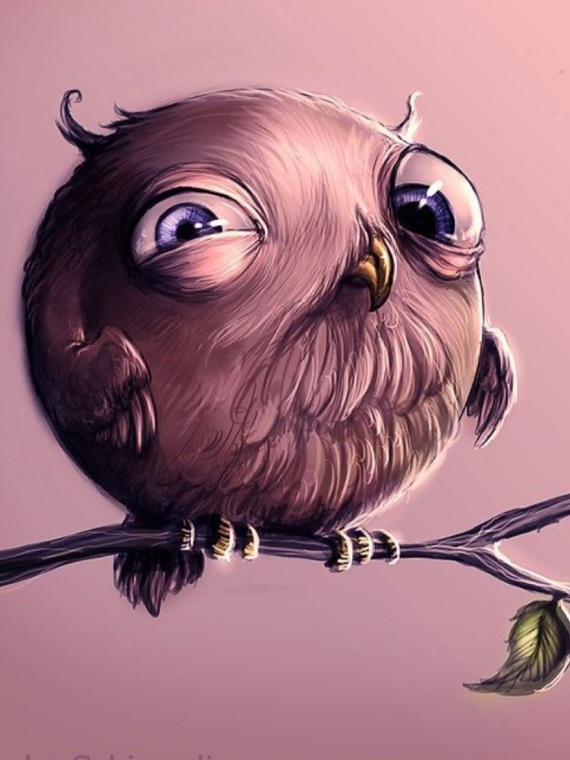 Сова Гарри Поттера