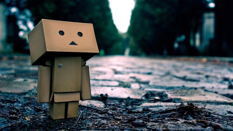Картонный робот Danbo