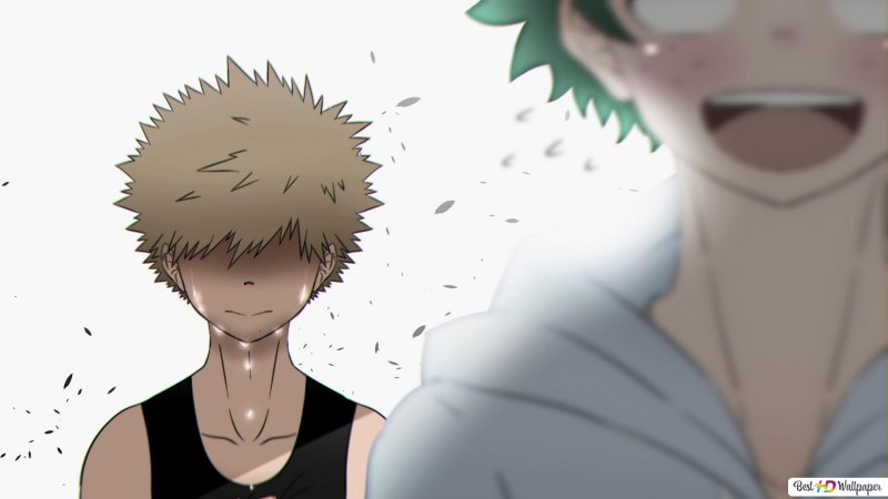 Каччан и Тодороки copaaa2