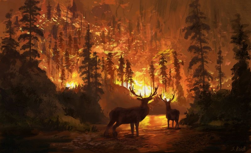 Stefan Koidl Art