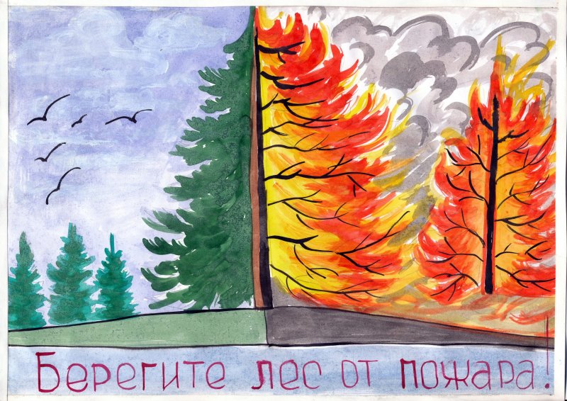 Рисунок на тему Лесные пожары