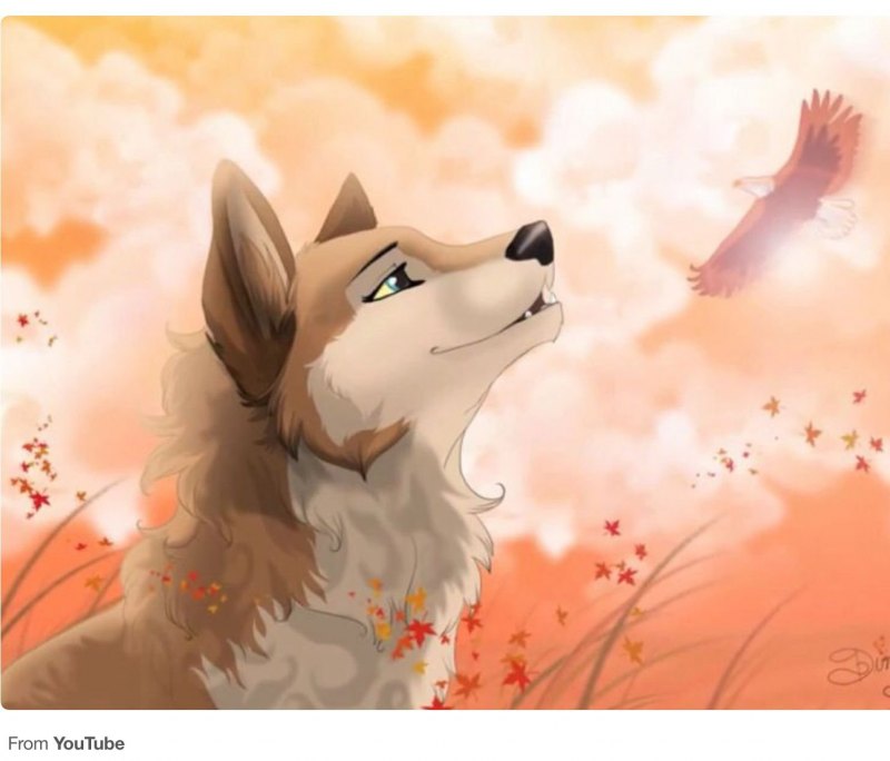 Милые волки аниме