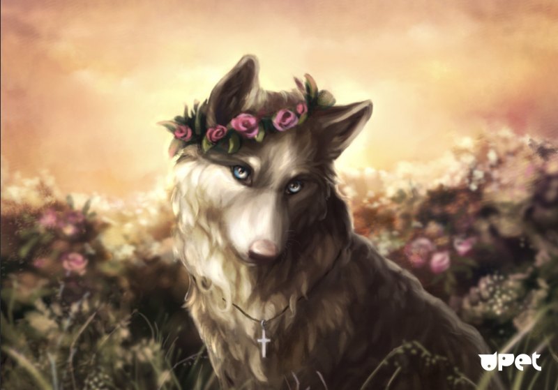 Волк с цветами арт