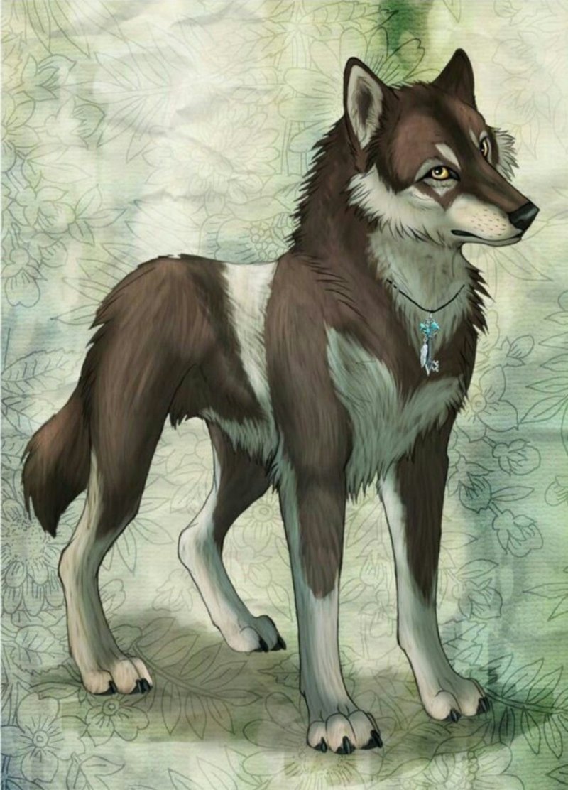 Волки аниме