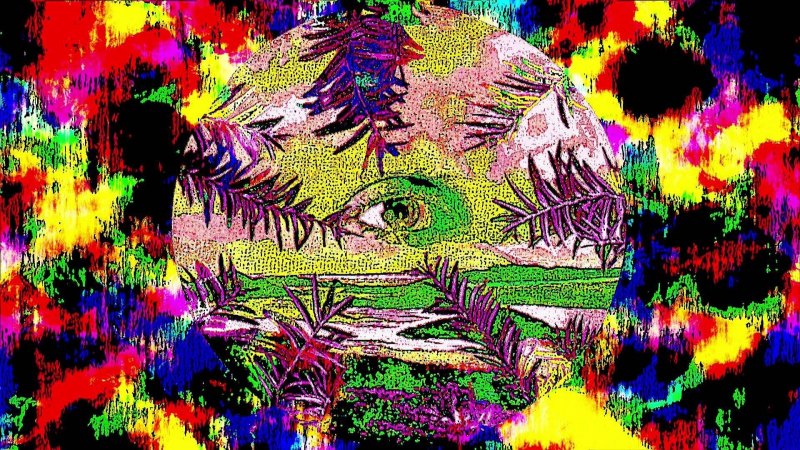 Лсд триповый эффект