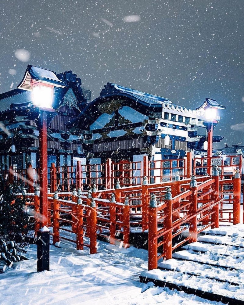 Куркино японский парк зимой