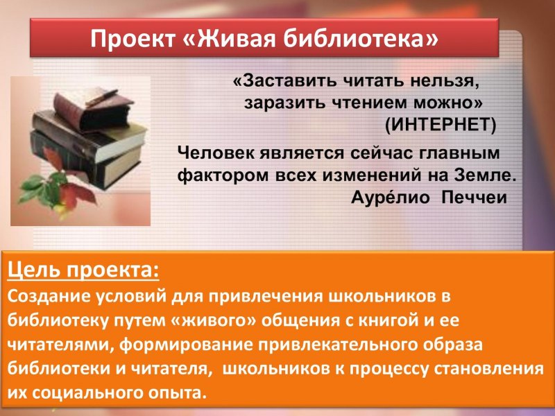 Концепция библиотеки сельской библиотеки. Проект библиотеки. Библиотека для презентации. Проект по библиотеке. Проекты в школьной библиотеке примеры.