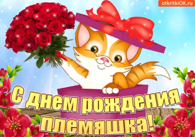 Поздравления с днём рождения племян