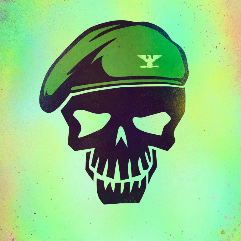 Рик флаг отряд самоубийц