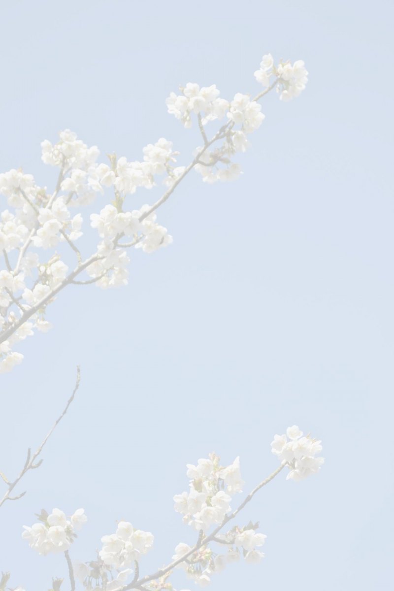 Эстетика белого цвета