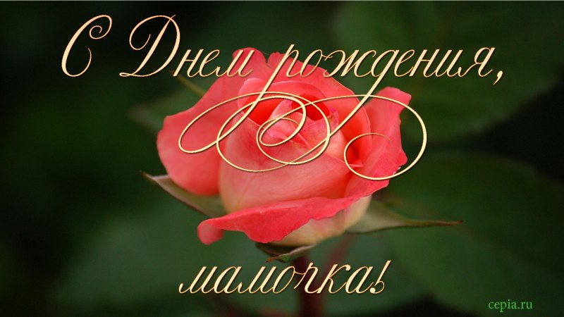 Поздравляю с юбилеем женщине сирень