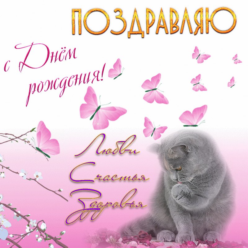 Открытки с днём рождения Наташа