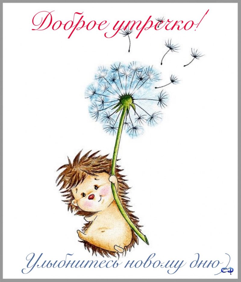 Ежики одуванчики