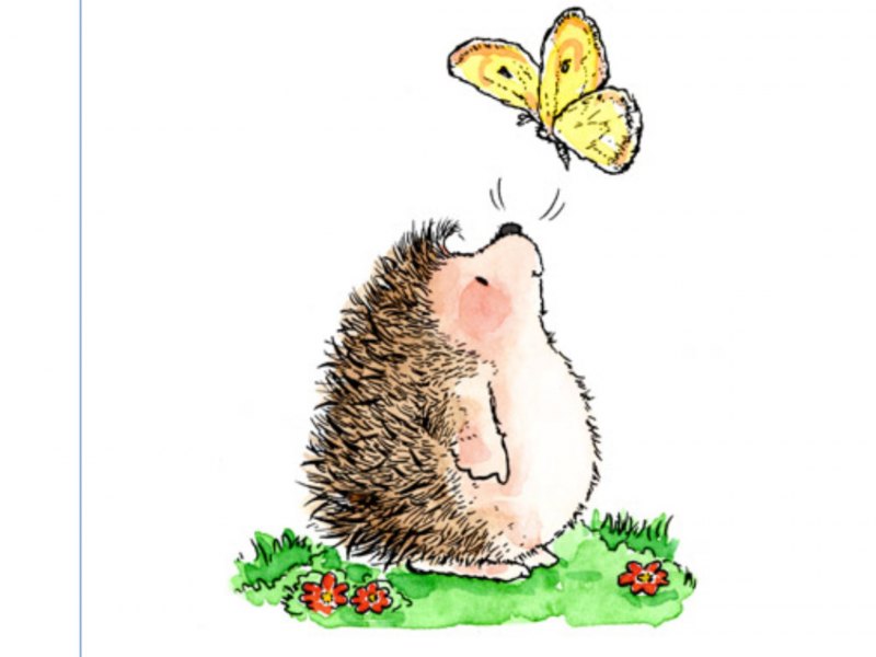 Ежик рисунок