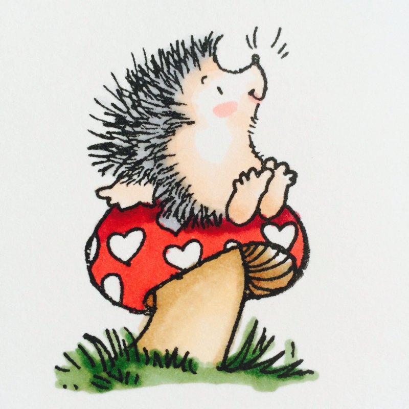 Еж иллюстрация